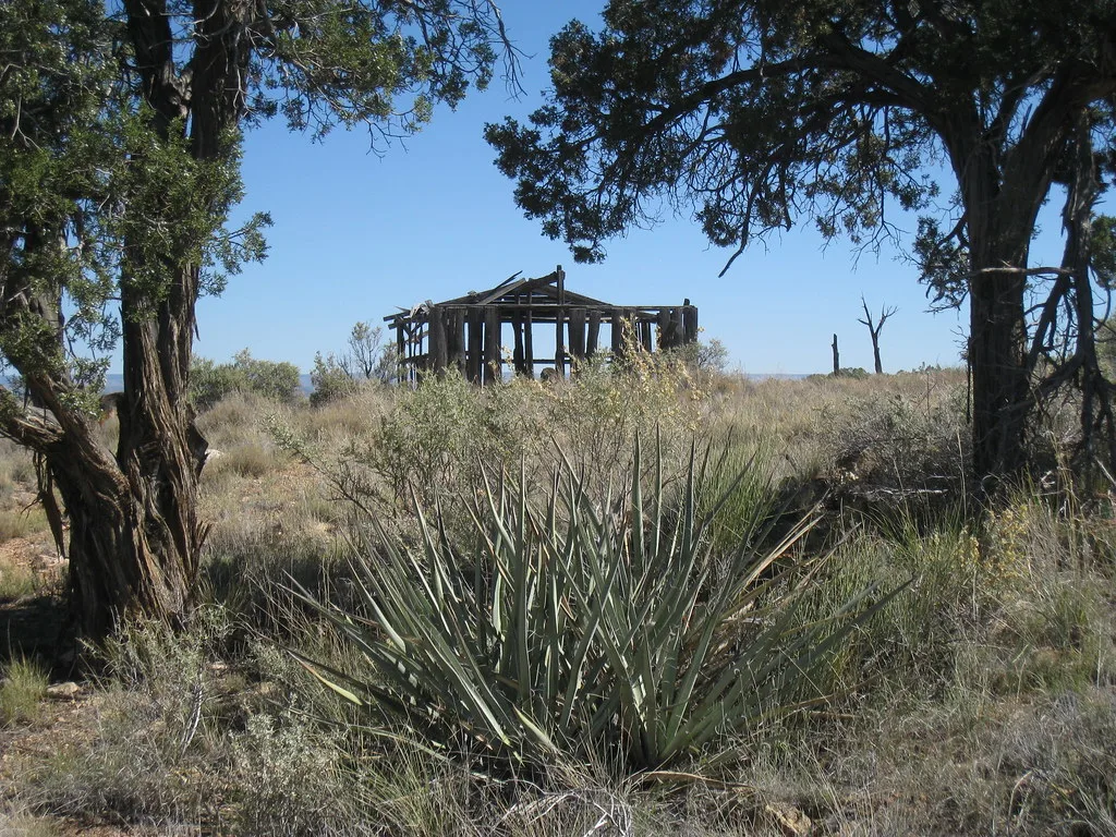 Ruine d’un bâtiment en bois dans un paysage broussailleux.
