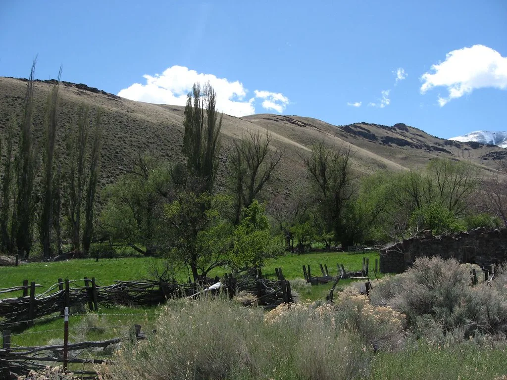 Vestiges d’un mur de pierre et ancienne clôture dans une vallée.