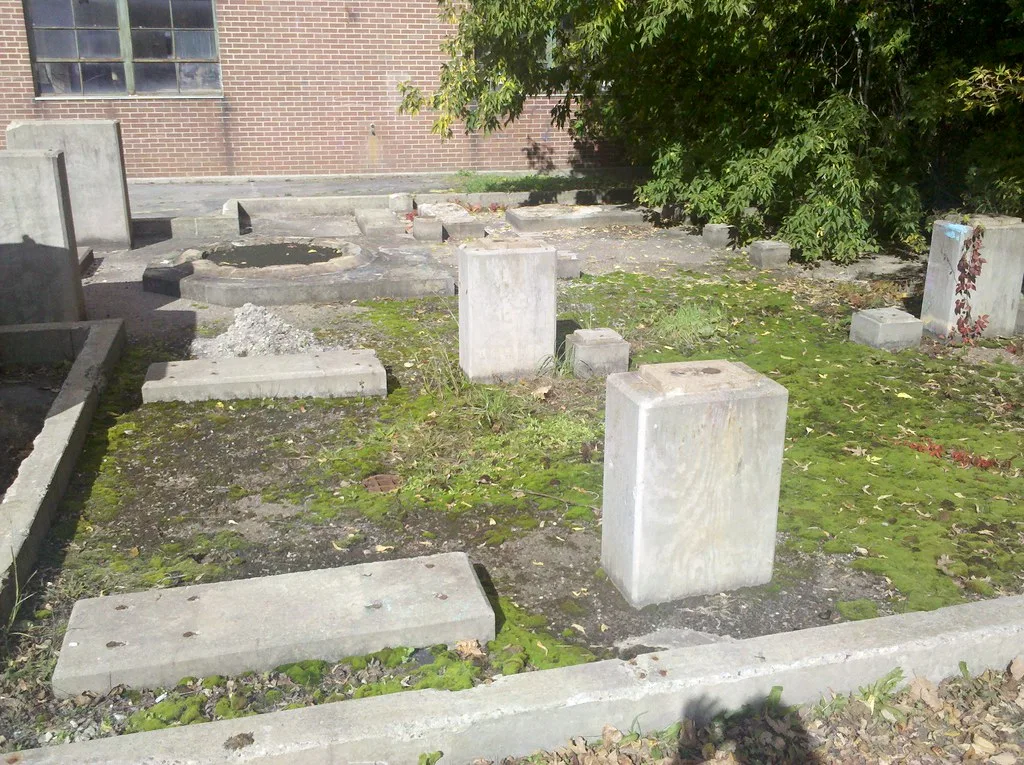 Remains of concrete industrial bases without equipment, covered with moss and plants before a brick wall.