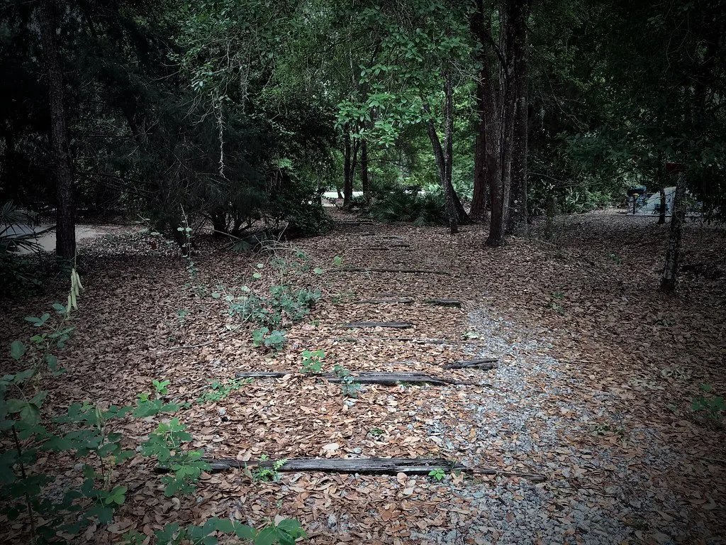 Old railway sleepers covered in leaves in woodland.