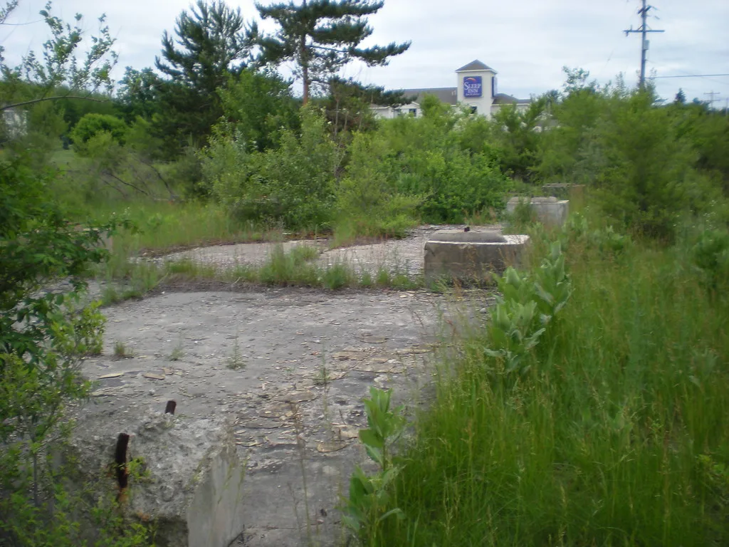 Anciennes fondations de béton envahies d’herbes et d’arbustes.