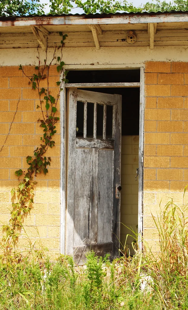 Porte ancienne entrouverte dans un mur jaune envahi de végétation.