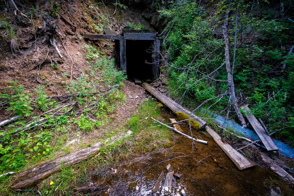 Old timber mine entrance in a wooded slope with water flowing out.