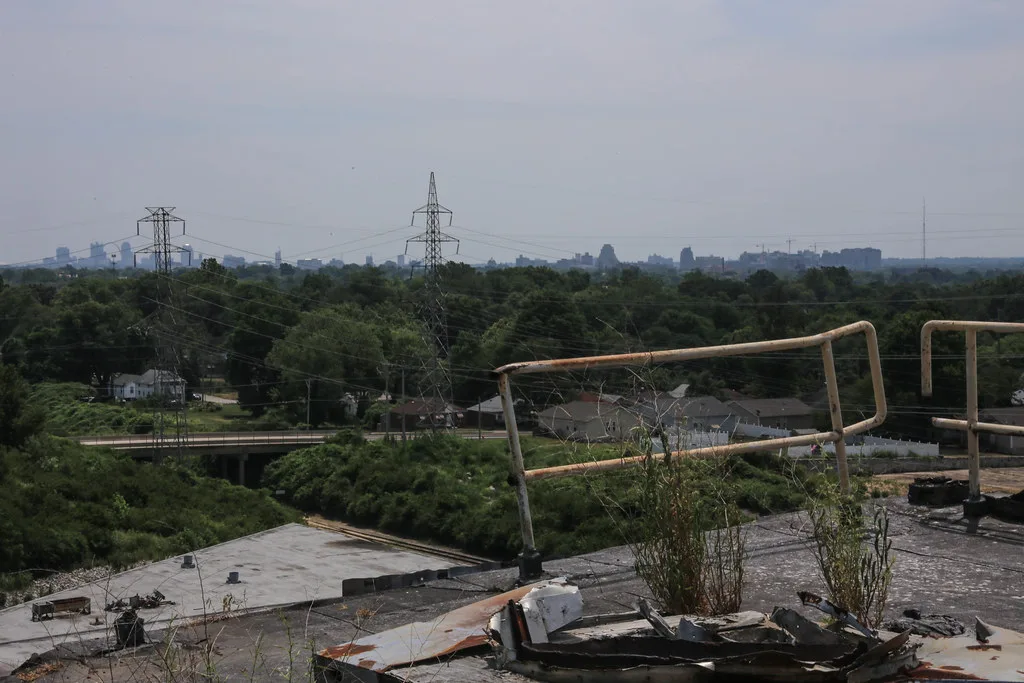 Deteriorated roof overgrown with plants above an urban landscape.