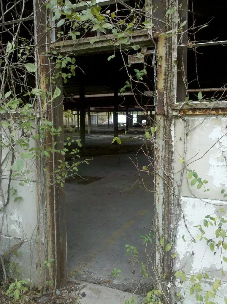 Entrée d’une halle abandonnée aux cadres rouillés sans vitrages, couverte de lianes et donnant sur un vaste intérieur vide.