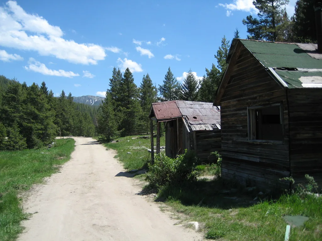 Two dilapidated wooden cabins beside a pale track among conifers.
