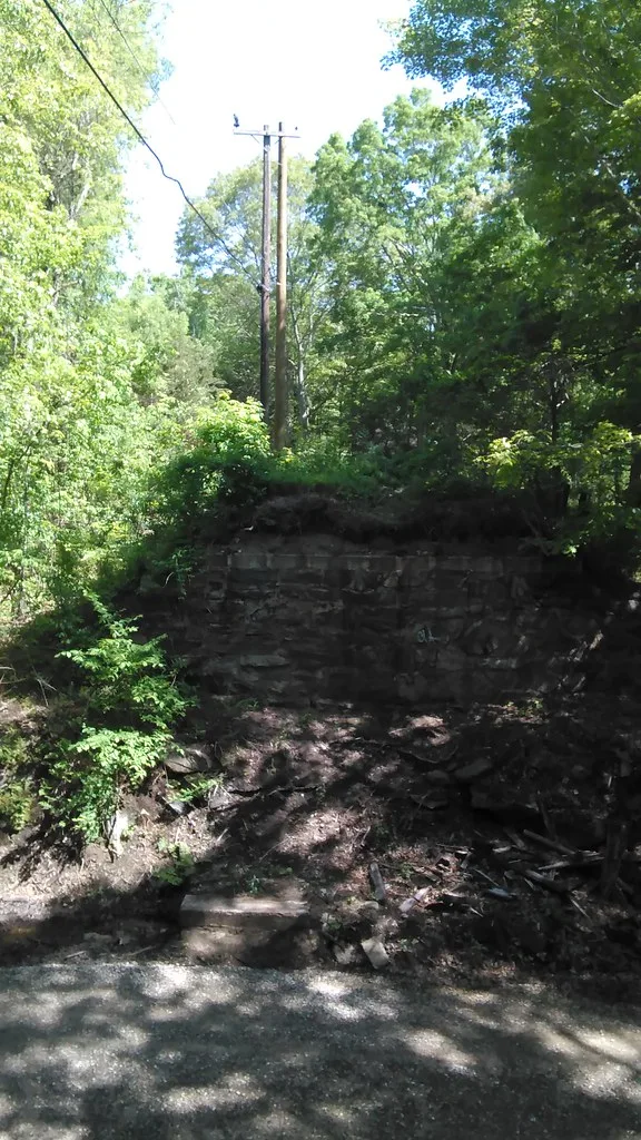 Partly collapsed stone wall remains overgrown with plants beneath trees.