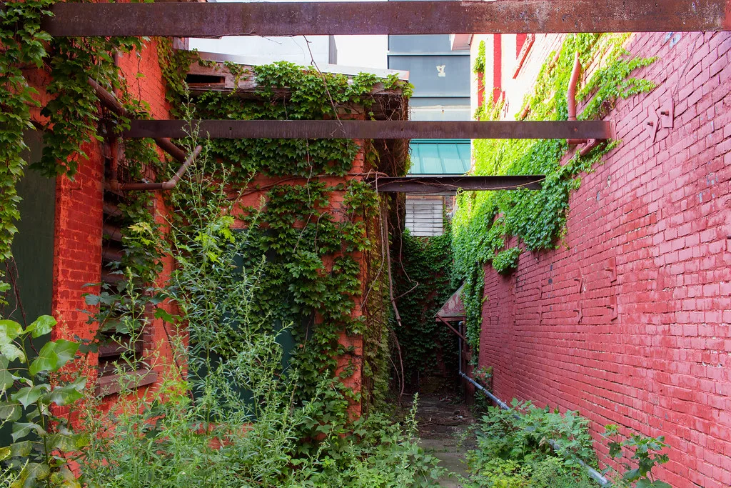 Overgrown passage between red walls beneath rusty beams.