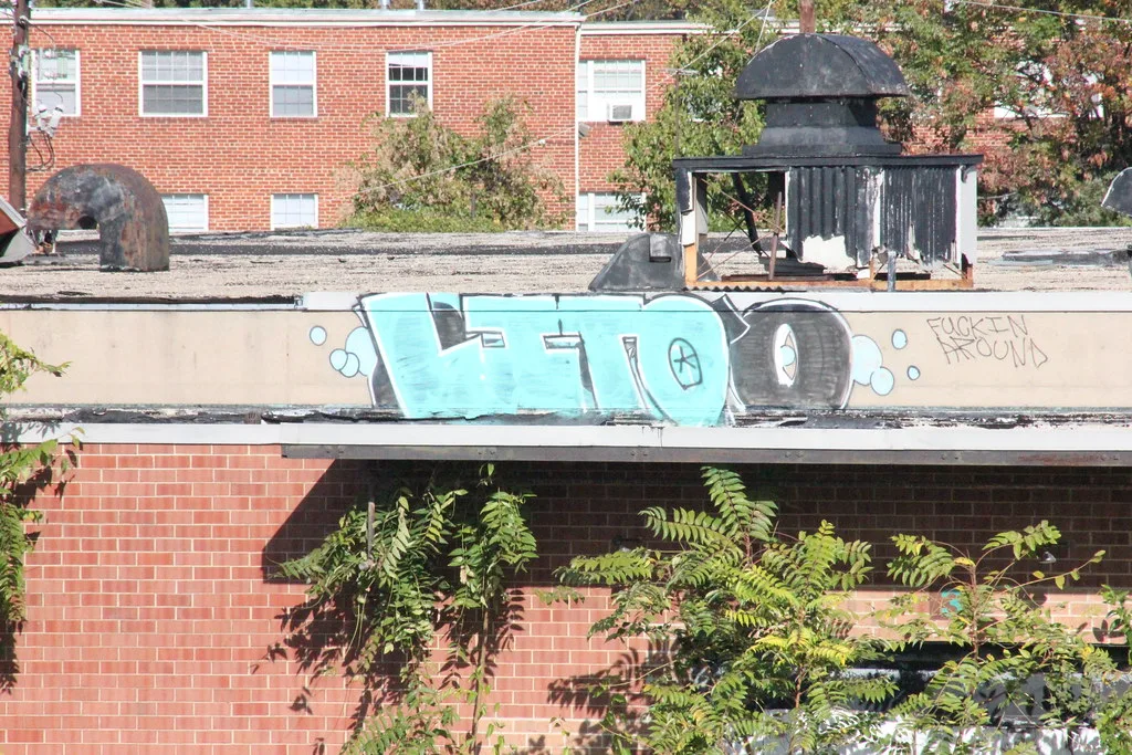 Roof and graffiti-covered facade of an old building overgrown with vegetation.