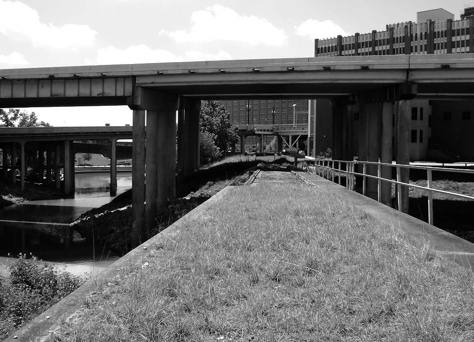 Ancien tablier de pont envahi d’herbe sous des voies surélevées, en noir et blanc.