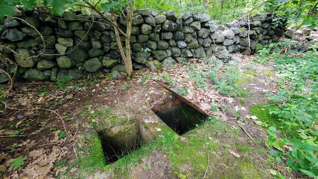 Two mossy concrete openings in front of an old stone wall.