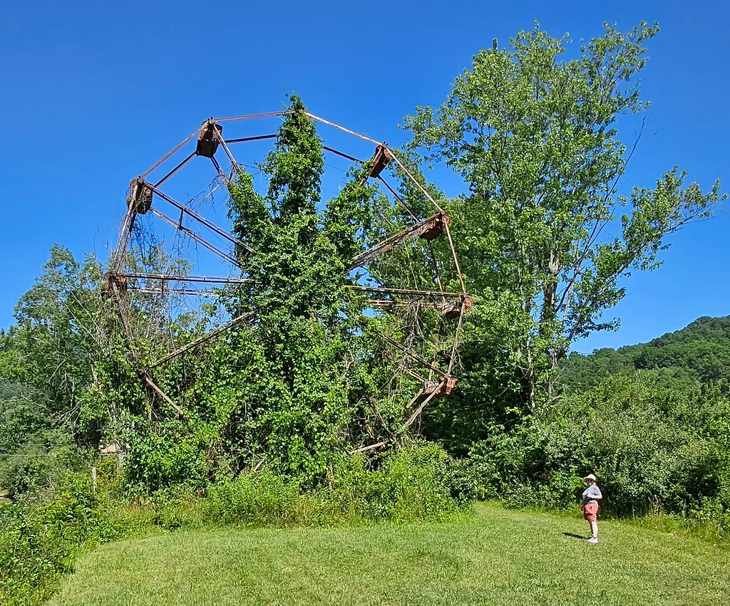 Old rusted Ferris wheel overgrown with vines and trees.