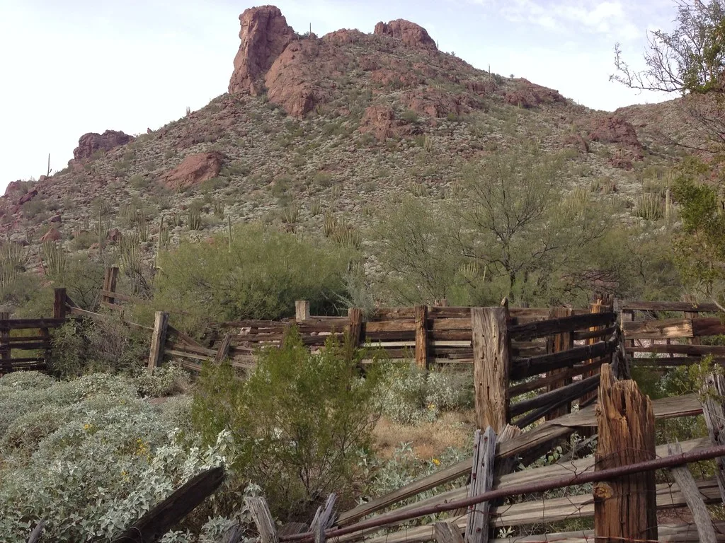 Old pens with broken wooden fences amid shrubs at the foot of a rocky hill.