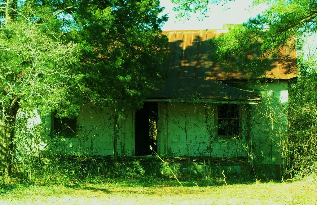 Old house with gaping openings overgrown with vines beneath trees.
