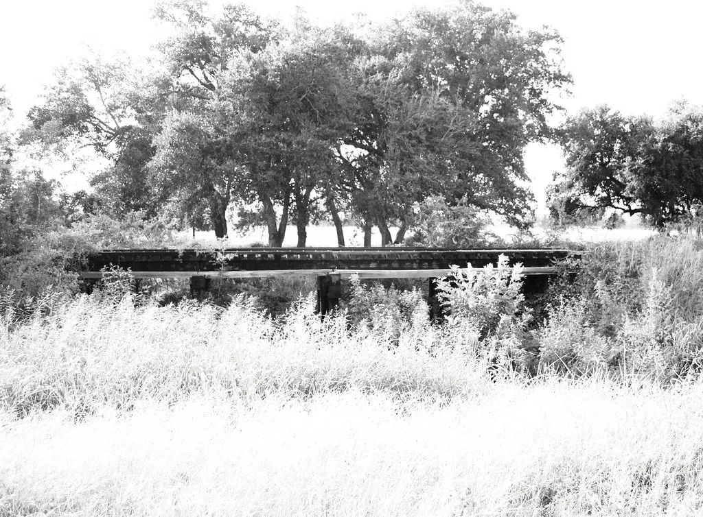 Remains of an old railway structure amid tall grass.