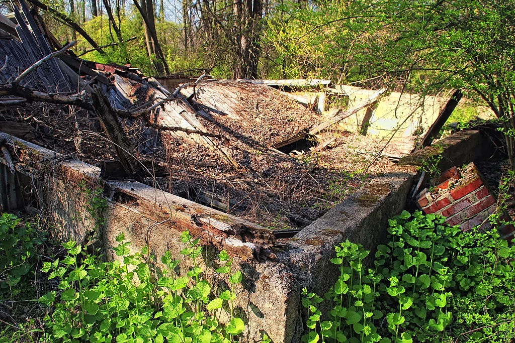 Building ruins with collapsed wooden beams between overgrown foundation walls.