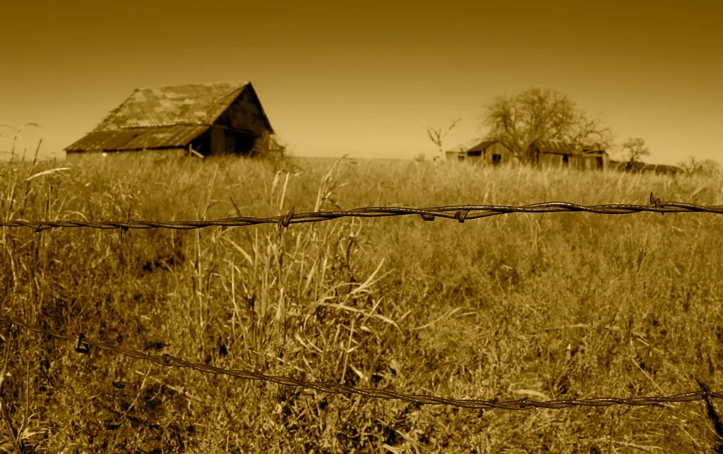 Grange et maison délaissées derrière du fil barbelé dans un champ d’herbes hautes, en sépia.