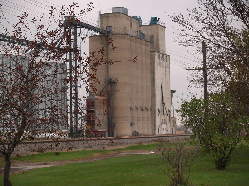Buxton grain elevator behind trees and railway tracks.