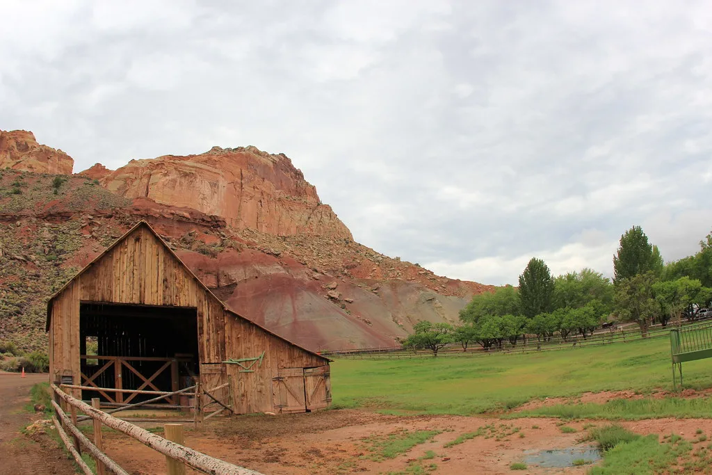Wooden barn at Fruita in front of Capitol Reef's red cliffs.