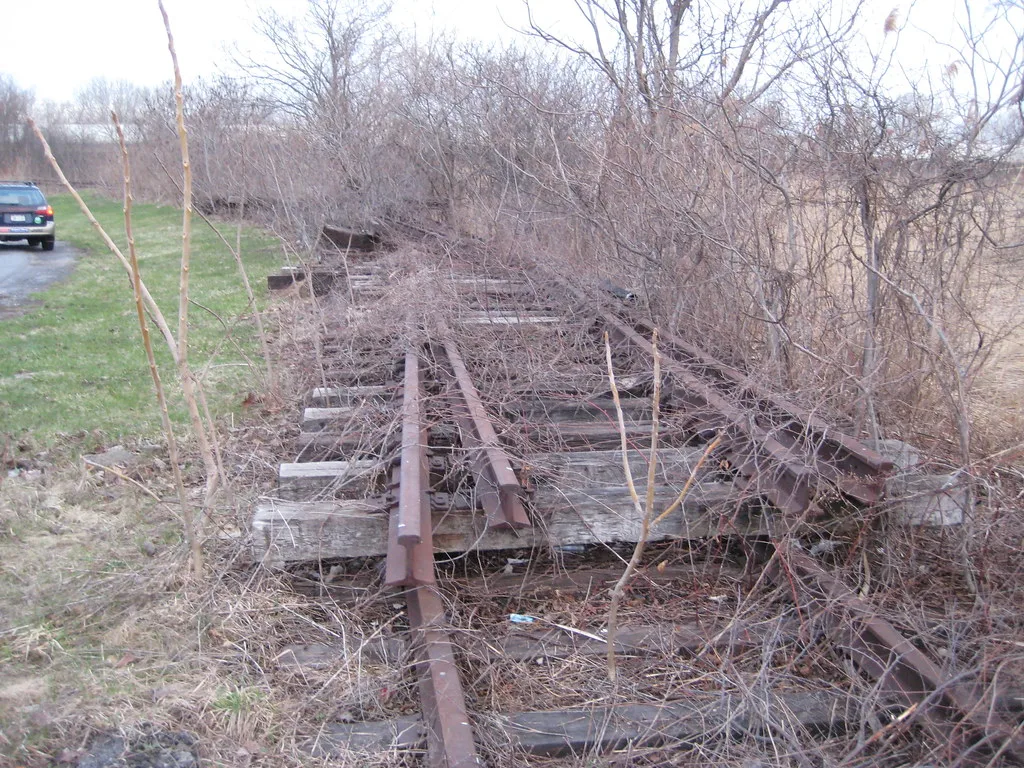 Old rusty railway track overgrown with brush.