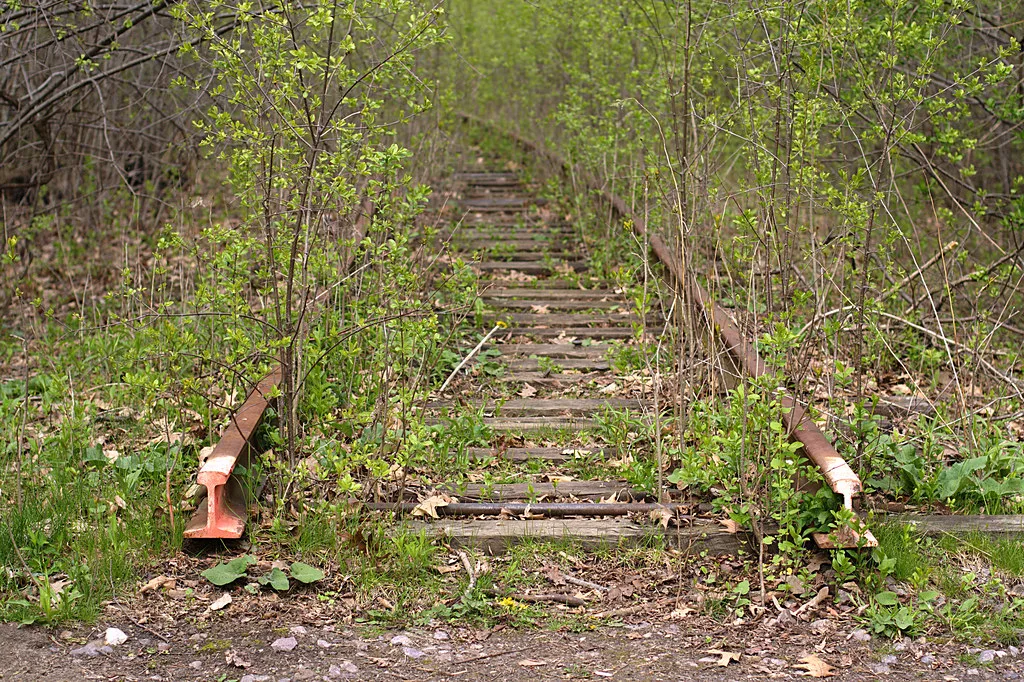 Old rusty railway track cut off abruptly and overrun by shrubs.