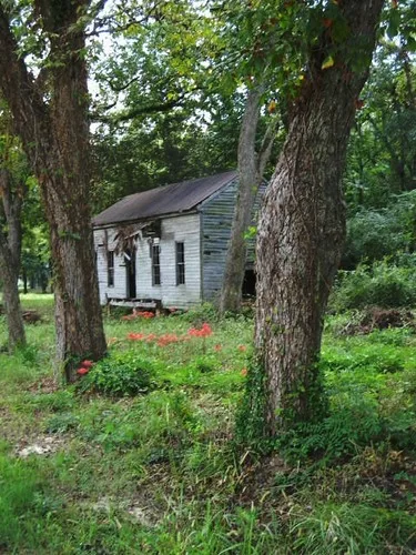 Small derelict white house with empty window openings between two large trees.