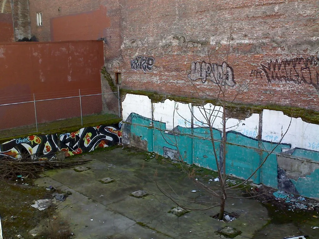 Ancien sous-sol sans toit aux murs tagués et à dalle fissurée traversée par un arbre.