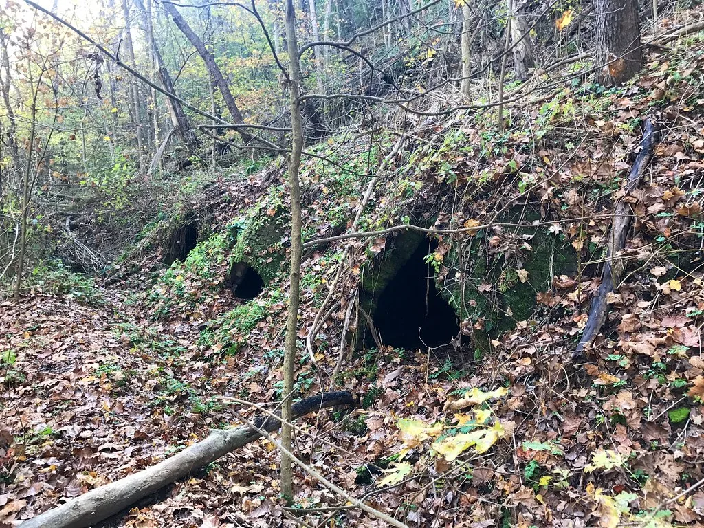Anciennes ouvertures voûtées de briques dans un talus envahi par la forêt.