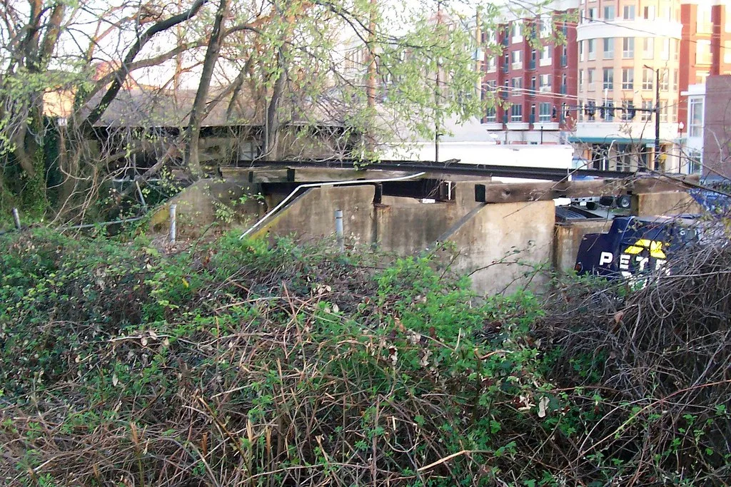 Vestiges de murs et poutres de béton envahis de ronces devant des immeubles récents.