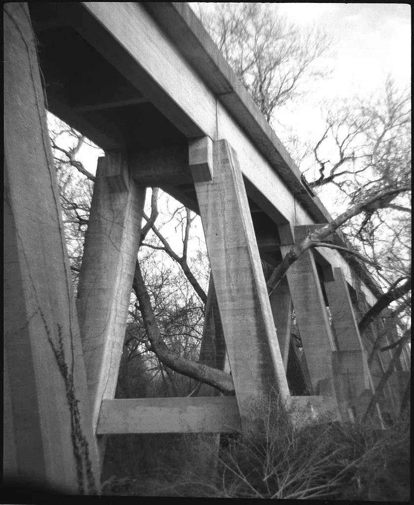 Pillars of an old concrete bridge among trees.