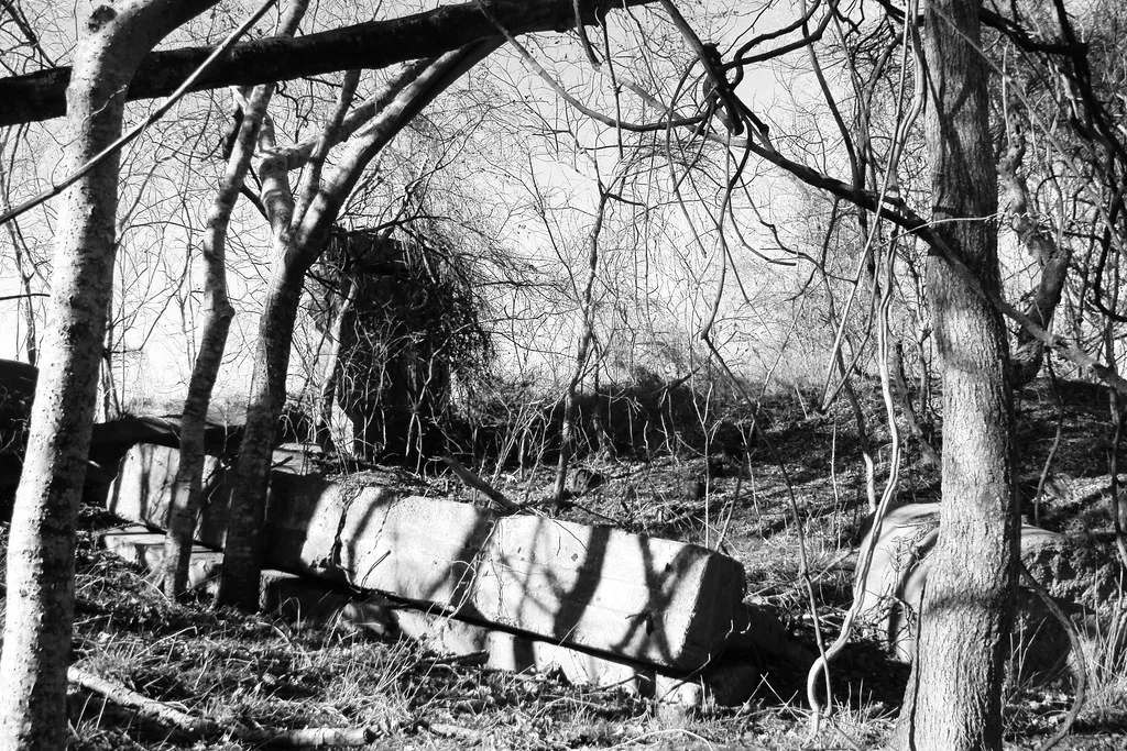 Masonry remains covered with branches in woodland, in black and white.