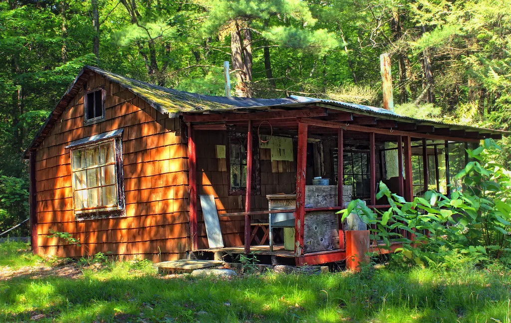 Cabane en bois avec toiture moussue et galerie dégradée dans les bois.