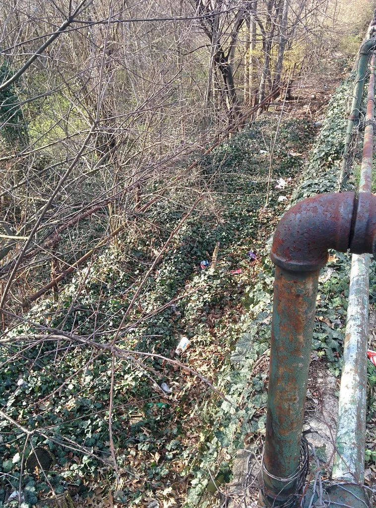 Escalier extérieur disparu sous le lierre entre des rampes tubulaires rouillées dans un sous-bois.