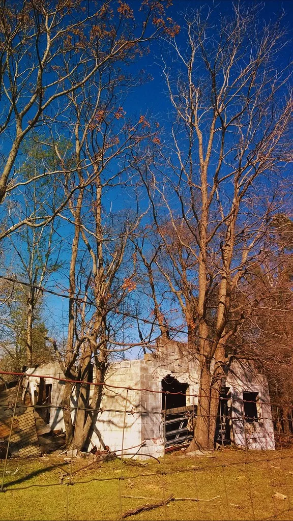Ruines de parpaings sans toiture parmi les arbres.