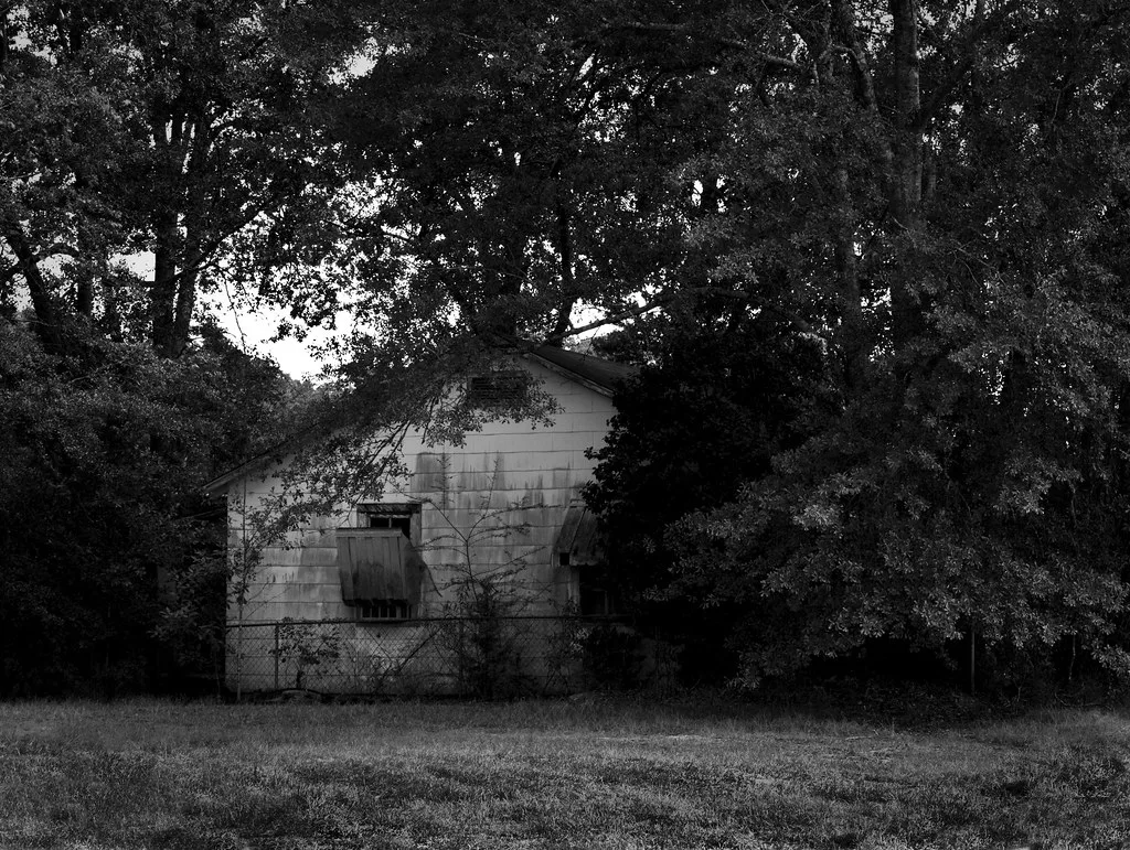 House with boarded windows behind a wire fence beneath large trees.