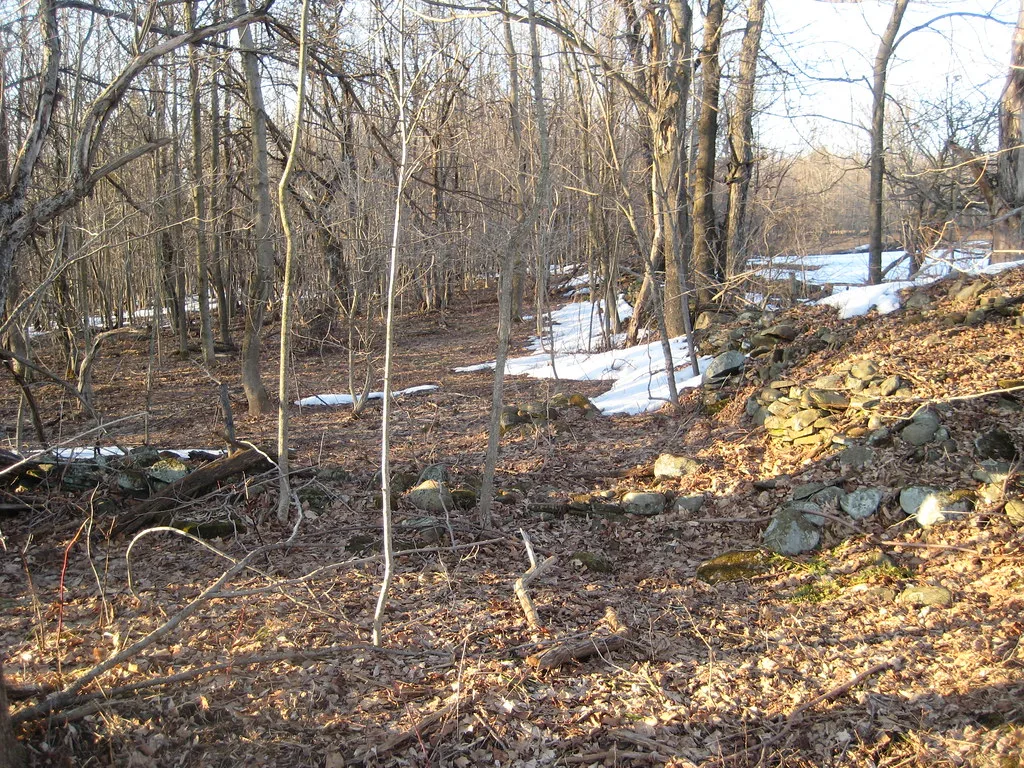Low ruins of stone masonry in woodland with patches of snow.
