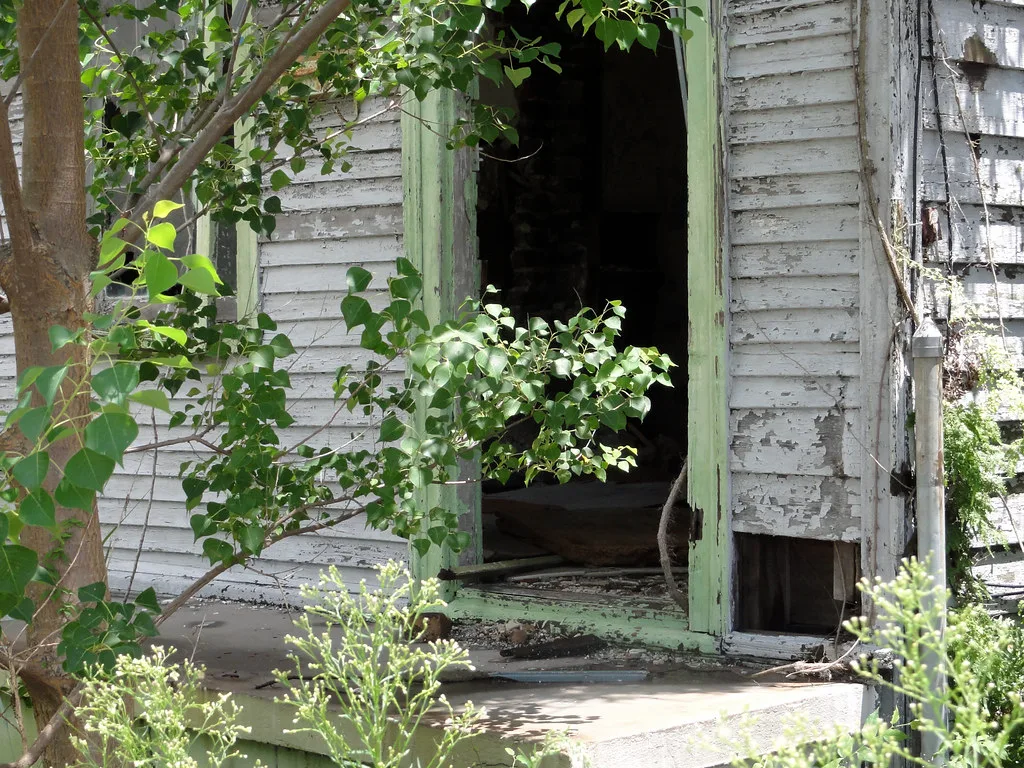 Overgrown entrance to a building with decaying white siding.