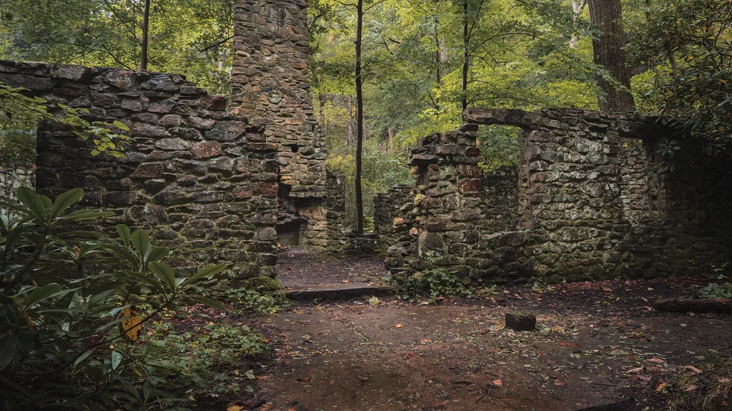 Ruines de murs de pierre et d’une cheminée dans la forêt.