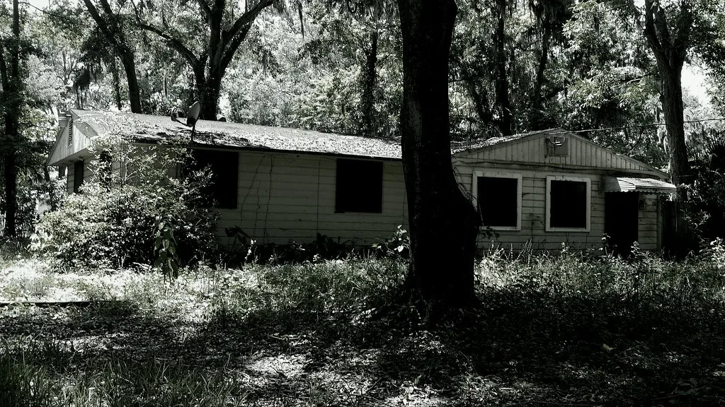 Abandoned single-storey house with empty windows in an overgrown woodland, in black and white.