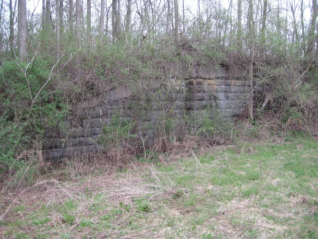 Vestiges d’un mur de pierre envahi de végétation dans les bois.