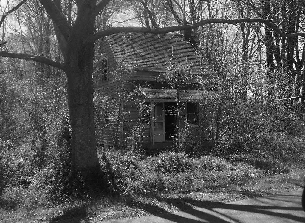 Abandoned wooden house with an open porch beneath branches and vines.