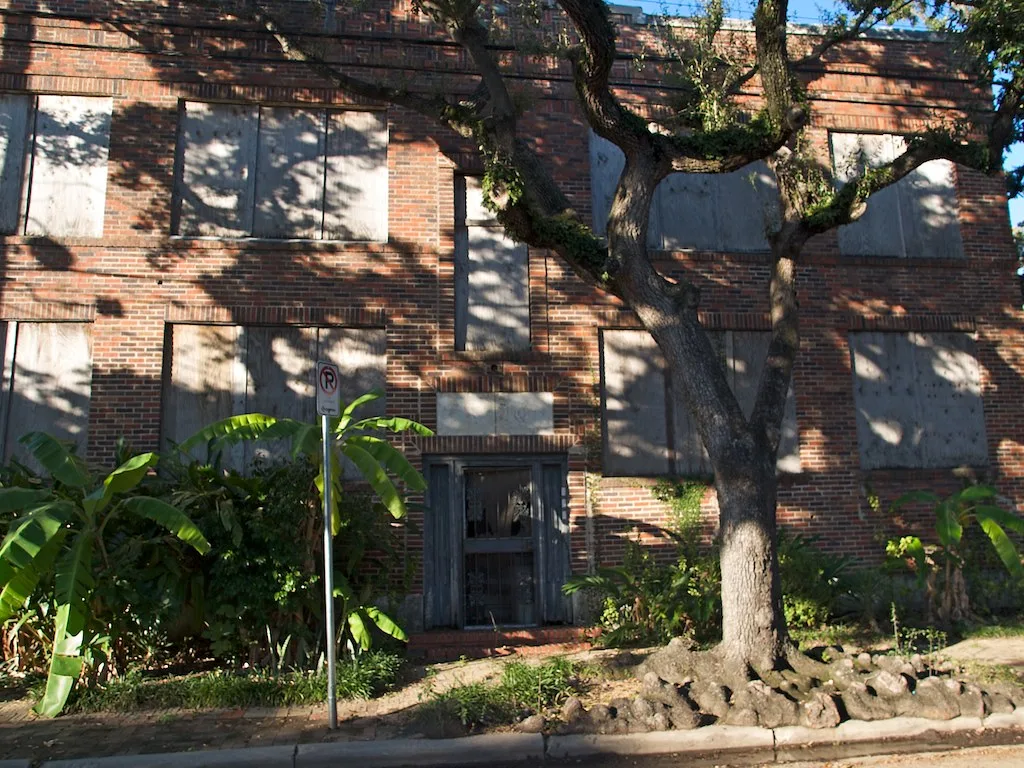 Abandoned brick facade with boarded windows behind a large tree.
