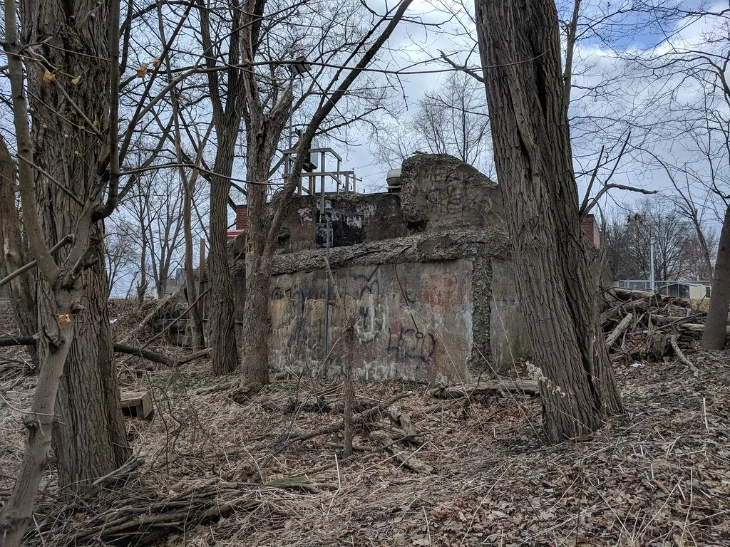 Ruine de maçonnerie taguée au milieu d’arbres sans feuilles.