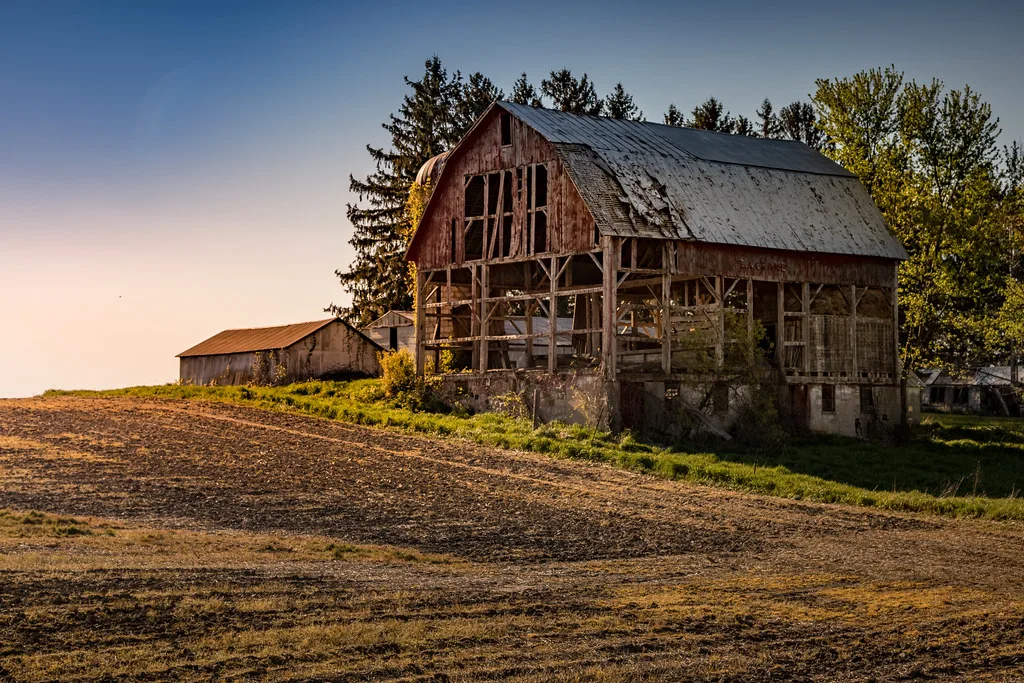 Wooden barn with much of its siding missing and a deteriorated roof.