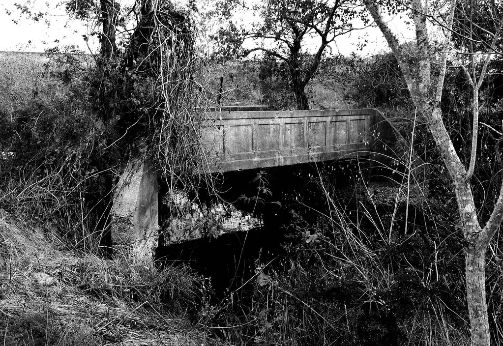 Ancien pont de béton entouré d’arbres et de lianes, en noir et blanc.