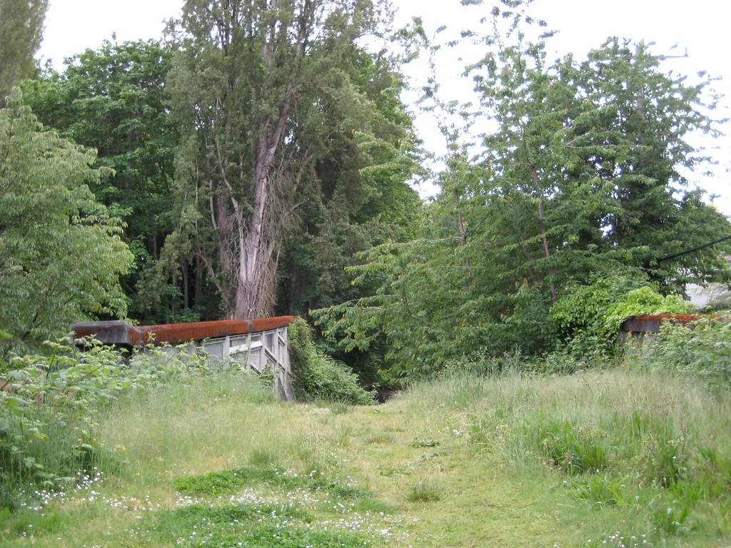 Small rusty metal bridge whose crossing disappears beneath grass and vegetation.