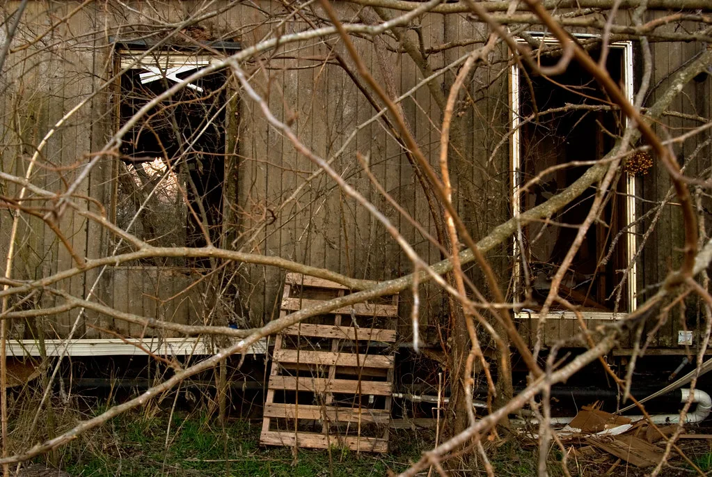 Ancienne façade de bois aux fenêtres vides derrière des branches.