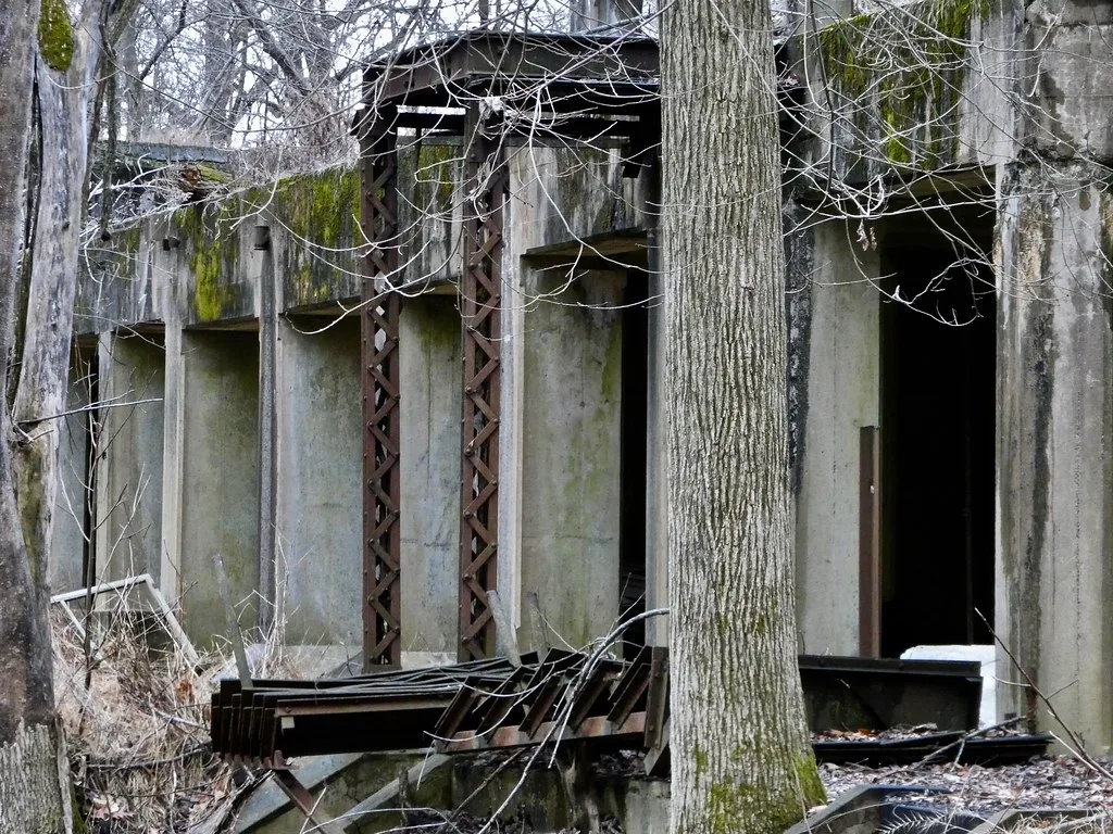 Ruine de béton avec poutres métalliques effondrées parmi les arbres.