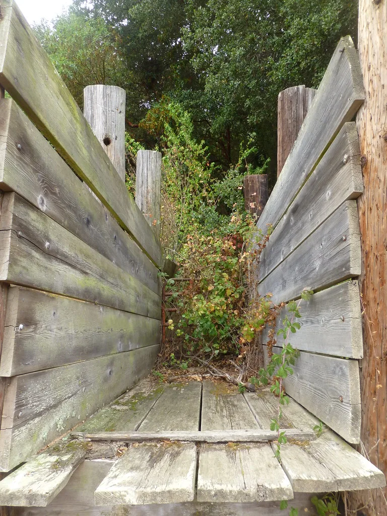 Ancien passage de bois envahi par la végétation.