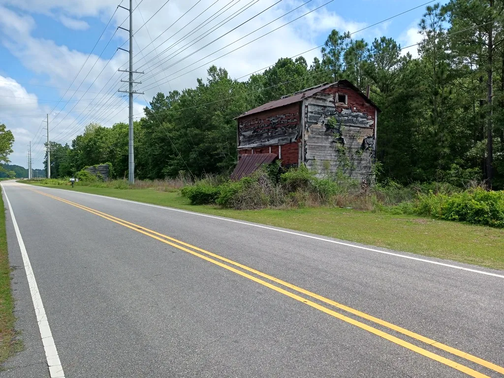 Deteriorated old wooden building beside a woodland road.